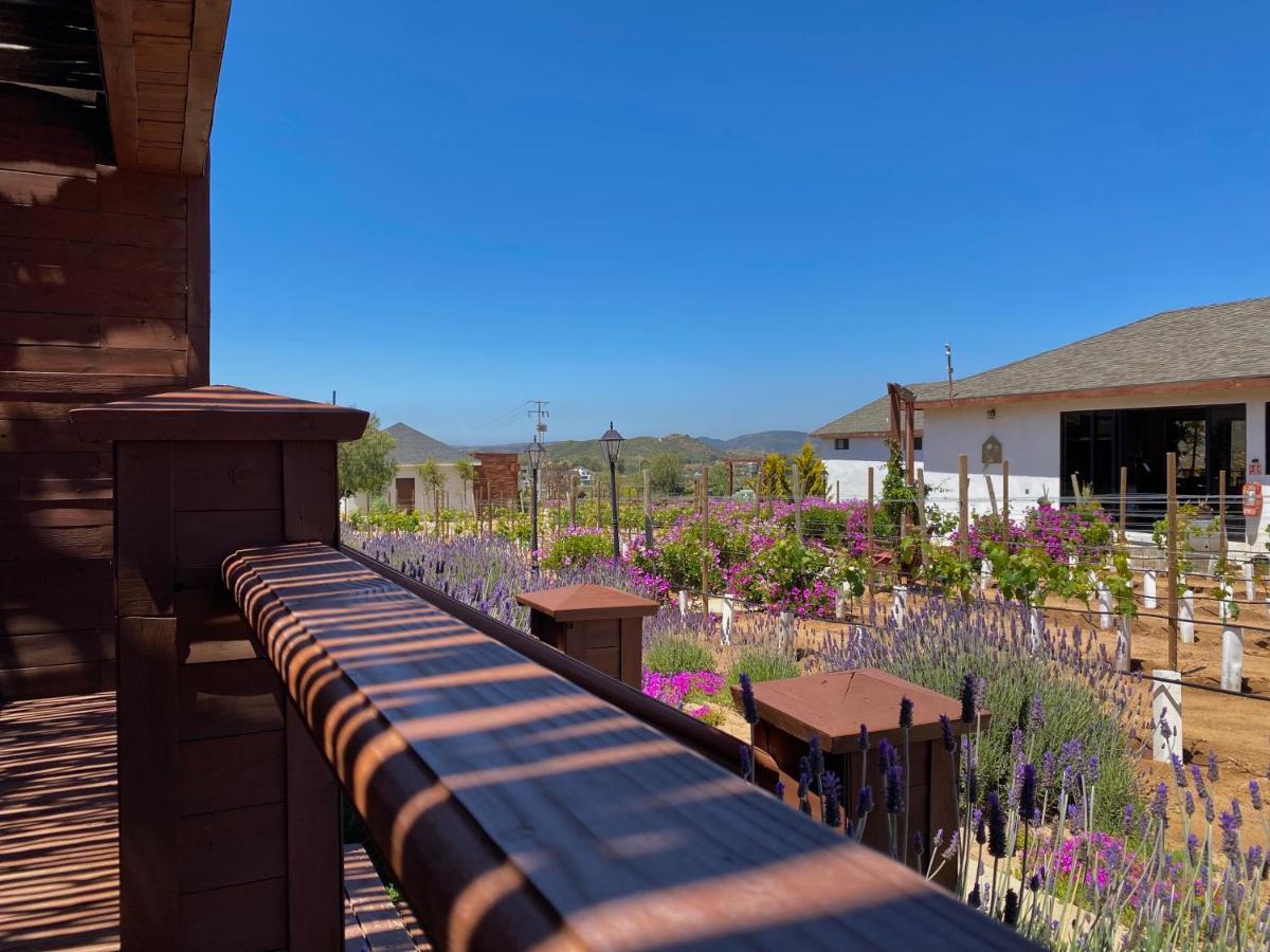 Entrevalle Hotel Boutique Валье-де-Гуадалупе Экстерьер фото