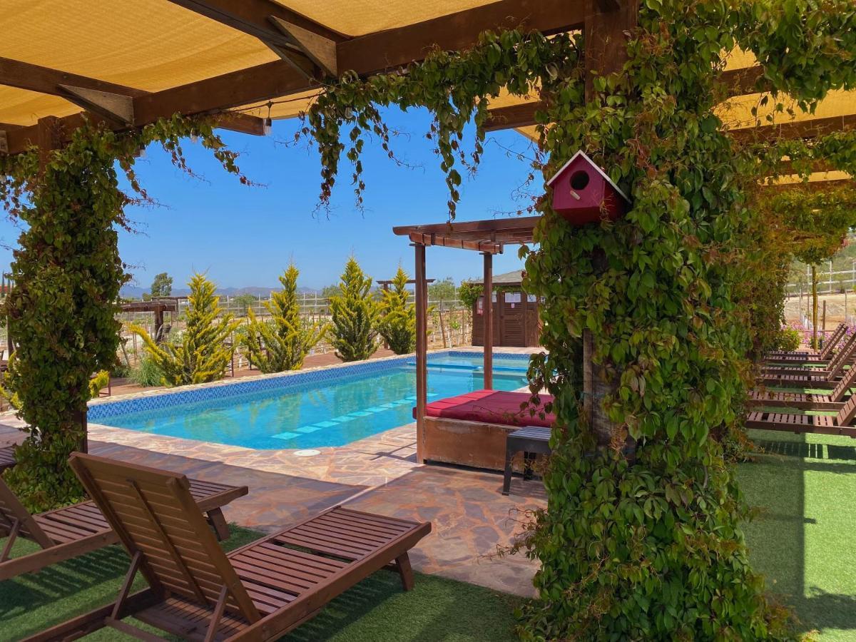 Entrevalle Hotel Boutique Валье-де-Гуадалупе Экстерьер фото